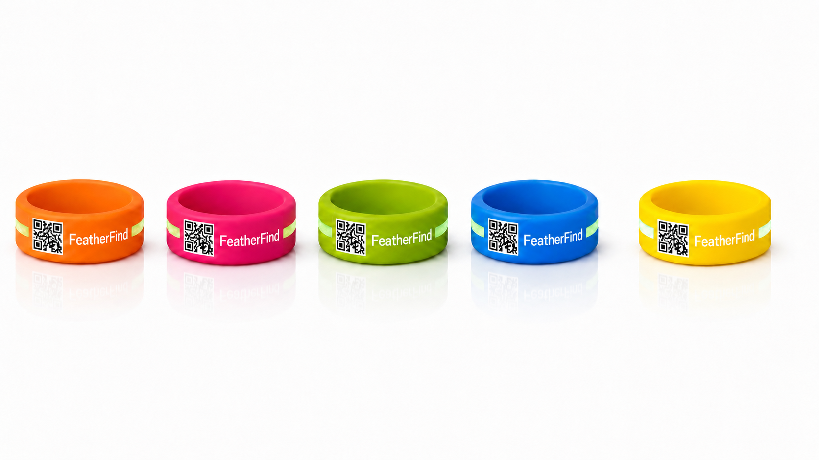 FeatherFind tag concept in five colours